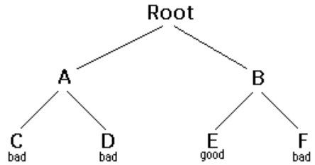 This is Root Image